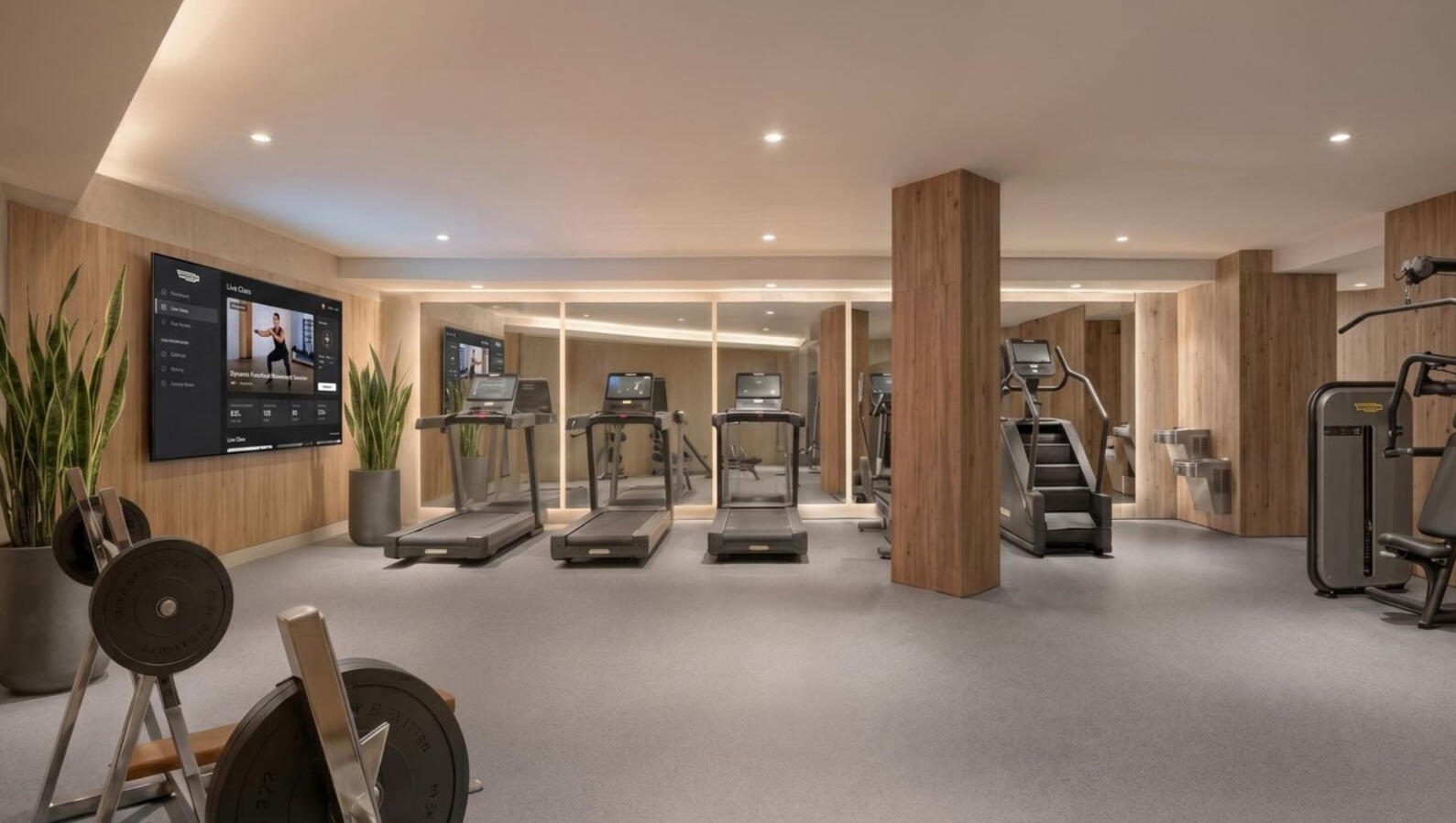Gym
